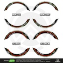 Kawasaki Ninja ZX-10R Lightning Komplett Set 2D Ansicht Premium Wheelsticker geteilt