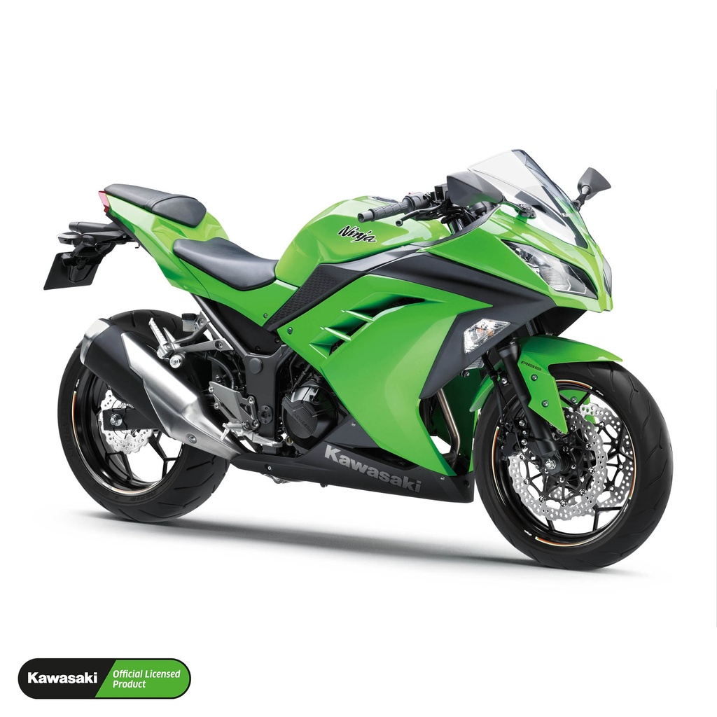 http://one-wheel.net/Bilder/ FSPREM Kawasaki Ninja V2 Komplett Set N300 Felgenaufkleber Motorrad Premium