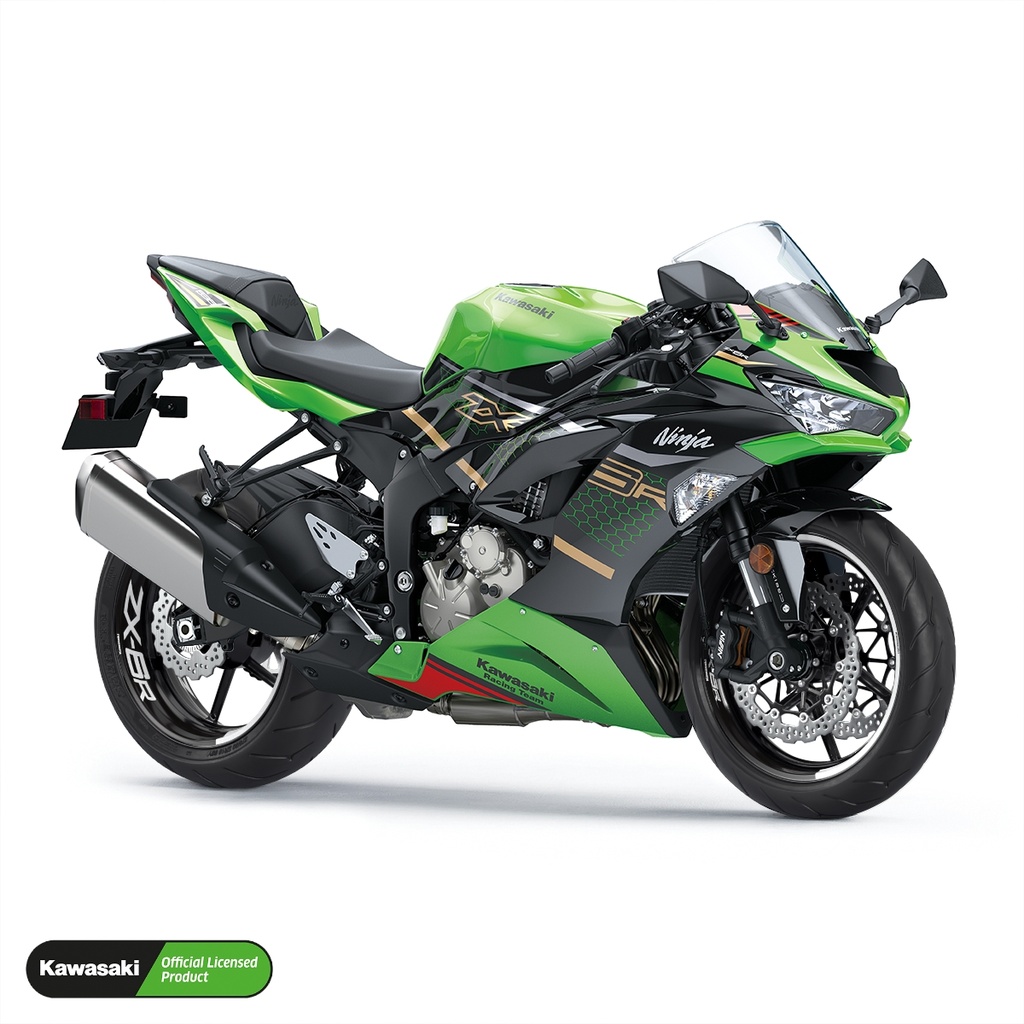 Kawasaki ZX-6R Felgenaufkleber Design Fifty Fifty V2