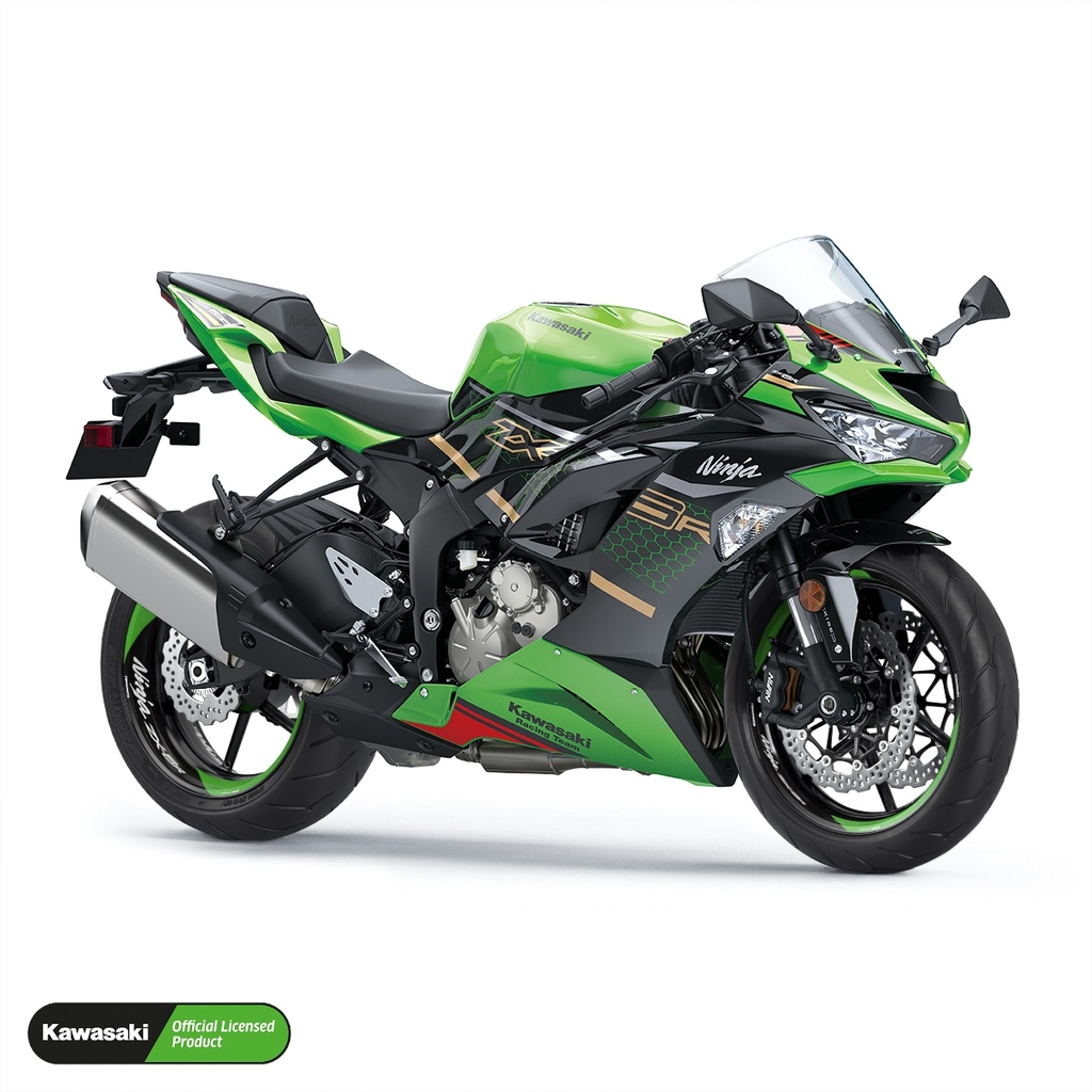 Kawasaki NINJA ZX-6R Felgenaufkleber Design Saber