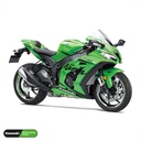 Kawasaki NINJA ZX-10RR Felgenaufkleber geteilt Design GRID2 V2