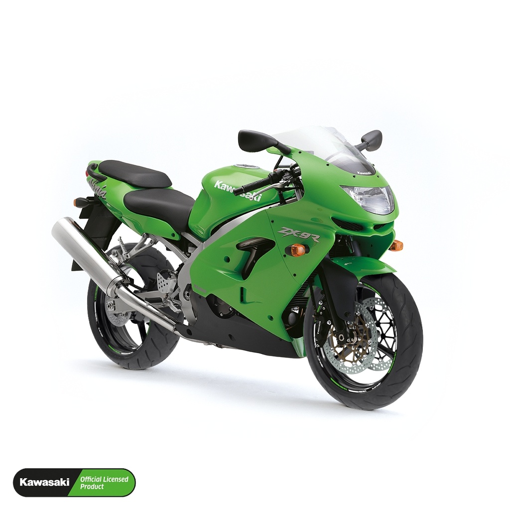 Kawasaki ZX9R Felgenrandaufkleber Design V1